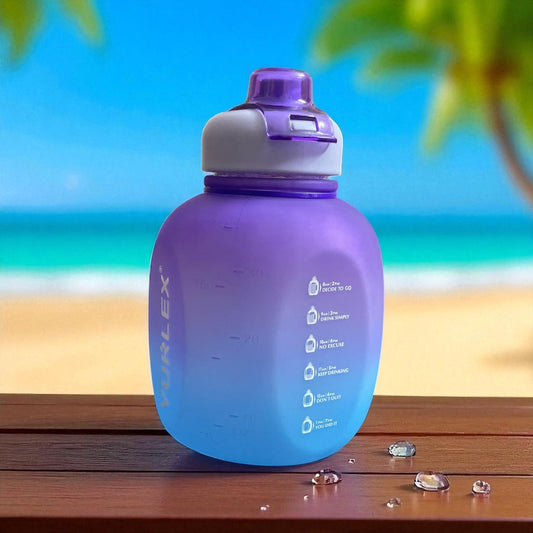 Toytopia Universe Premium Gradient Sports Water Bottle with Handle